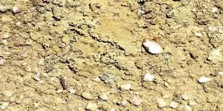 Differenza tra terreno sabbioso e sassoso